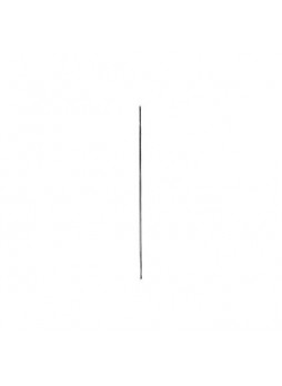 Probe