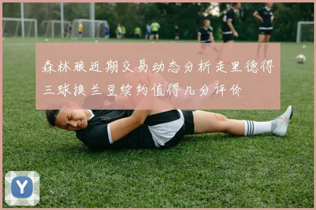 森林狼近期交易动态分析走里德得三球换兰豆续约值得几分评价